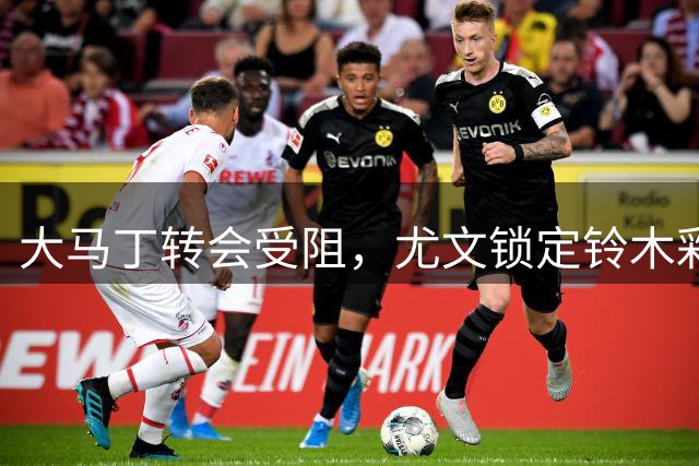 大马丁转会受阻，尤文锁定铃木彩艳为B计划